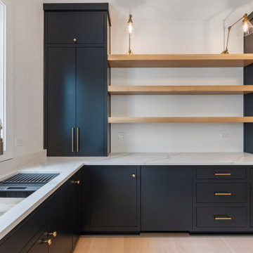 Modified Parker IV | Glen Ellyn, IL