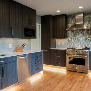 Voell Custom Kitchens Arlington, Virginia, United States Project Review & Ratings