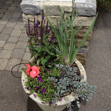 Seasonal Container Plantings & Changeovers