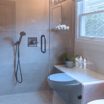 Thousand Oaks Remodel