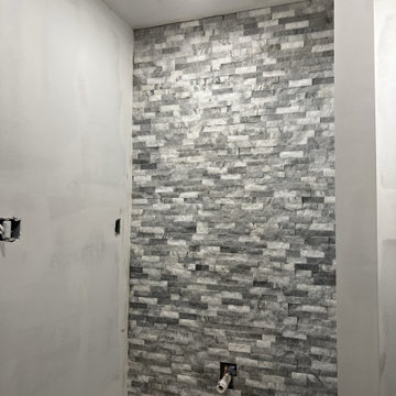 Basement Remodel