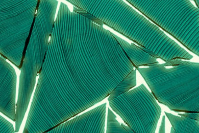 Shattered Light Wallpaper in Green by Brent Comber for Rollout