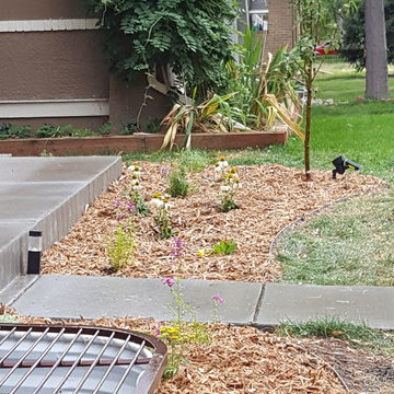 Sidewalk strip and beds