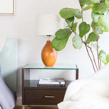 Fiddle Leaf Fig Tree with Modern Nightstand