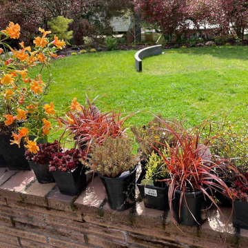 Vancouver Villa - backyard