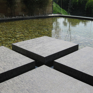 Modrn Pool in Beverly Hills