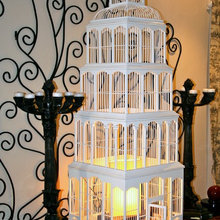 Birdcages