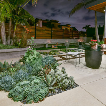 La Jolla Contemporary Custom