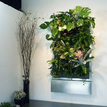 Living Wall