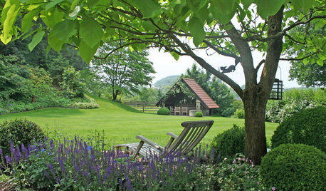 Rasen richtig anlegen und pflegen – so gedeiht der grüne Teppich