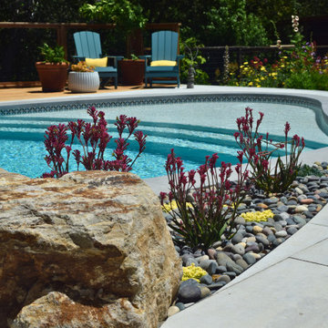 Backyard Pool Deck in San Rafael