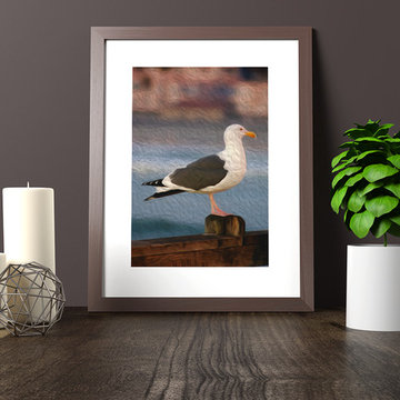 "A Bird's Eye View" at the Pier in Oceanside, CA Fine Art Print