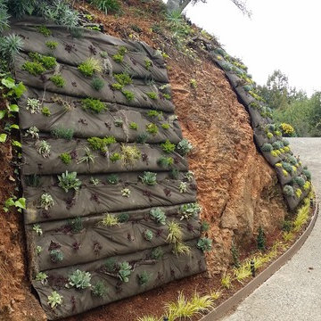Landscape Design & Installation