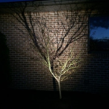 Landscape Lighting by Jeff Corcelius