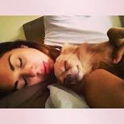Hazal Nuts foto