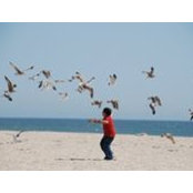 Daniel Barlis's photo