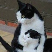 Alexander V. Inozemtsev's photo
