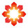 bloomrealty