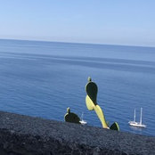 Foto von Michelle Plaster