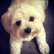 Gina Spengel's photo