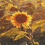 Kay Derr's photo