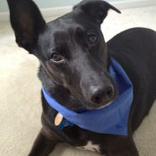 Alyssa Rudner's photo
