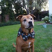 Shannon Cameron's photo