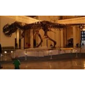 Matt Wilinski's photo