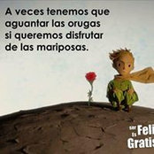 Catalina Suarez's photo