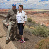 Betsy Harasek's photo