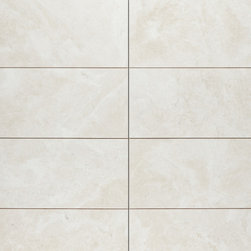 Terra Nova 12x24 - Tile