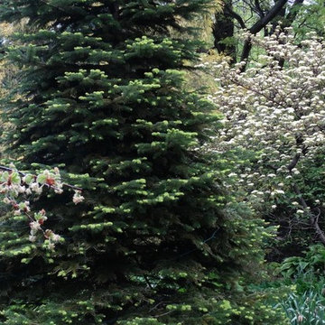 Planting for Privacy, Color and Texture