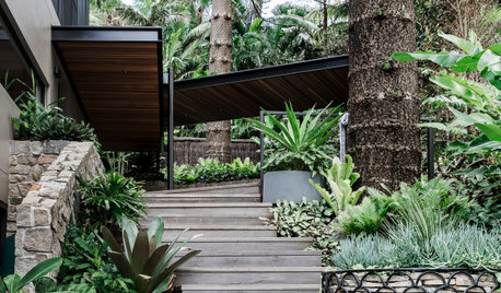 21 Australian Gardens Where Soft Plantings Hug Hard Landscaping