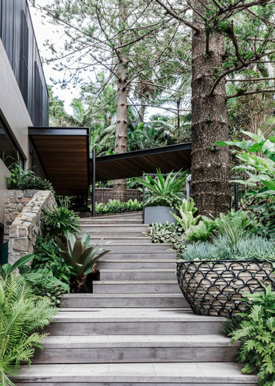 Contemporary Garden by Cadence and Co