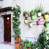 My Houzz: A Limited Budget Makes Creativity Shine
