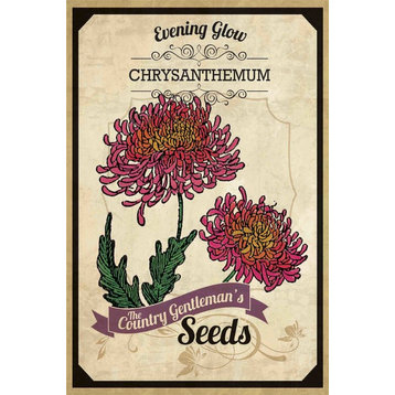 "Flower Packet Chrysanthemum" Painting Print on Canvas