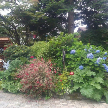 Our Work