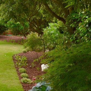 Hostas and pittosporums