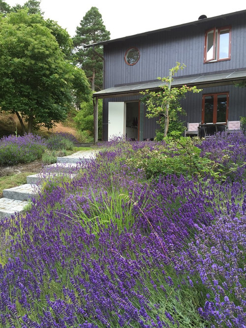 Scandinavian Outdoor Front Yard Design Ideas, Renovations & Photos