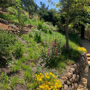 Hillside Flower Meadow + Food Forest