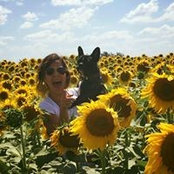 Vir Arte's photo