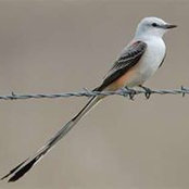 Lorena Smithheisler's photo
