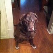 Amy Giachetti's photo