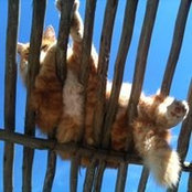 Silke Eckardさんの写真