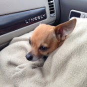 Glenn Burket's photo