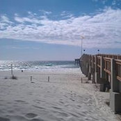 Debbie Shaw's photo