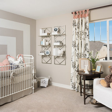 Coral model home in Colorado