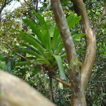 Costa Rica Travel