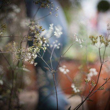 Stansted Garden Show 2016 The 'Rusty Foxglove Garden'
