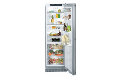 Liebherr Built-In Series RB1410 24 Inch Refrigerator